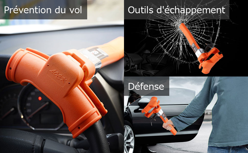 Canne-Antivol-