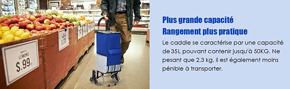 Chariot-de-Courses-6-Roulettes