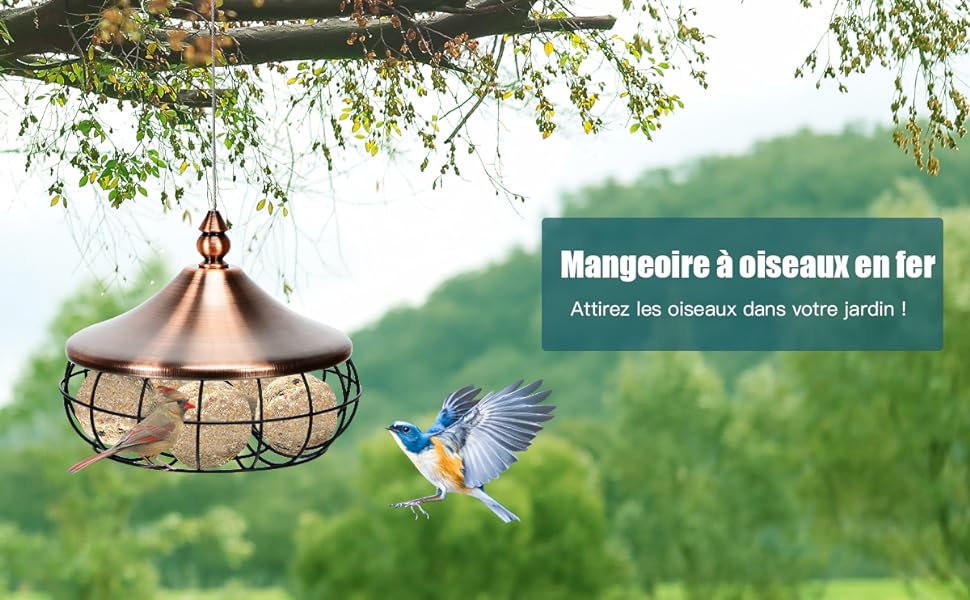 Mangeoire-pour-oiseaux