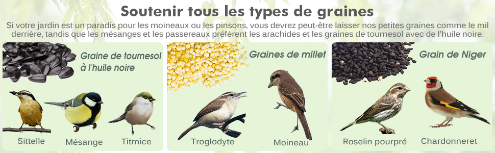Nourriture-pour-oiseaux