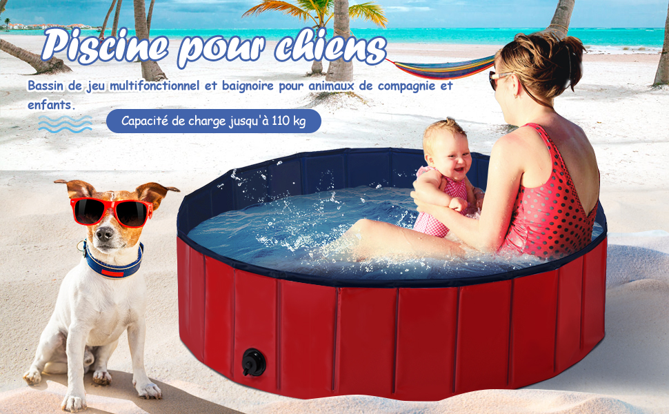 Piscine-pour-chiens