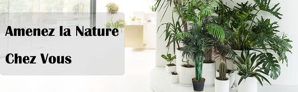 Plante_Artificielle