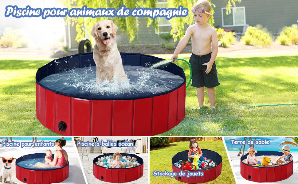 SPA-voor-dieren