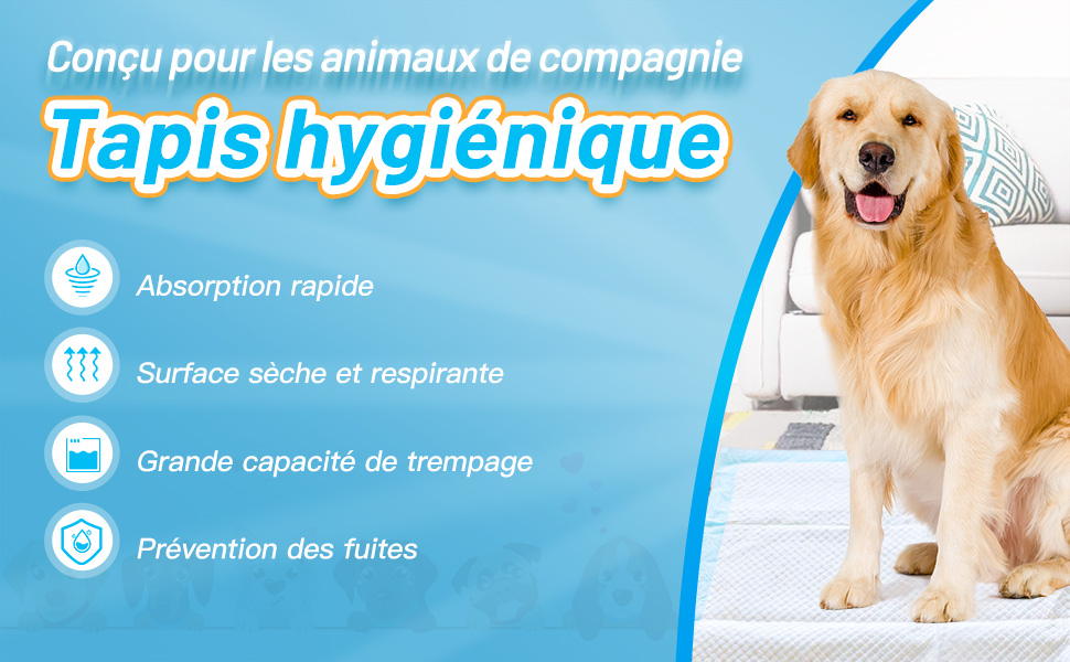Tapis-jetable