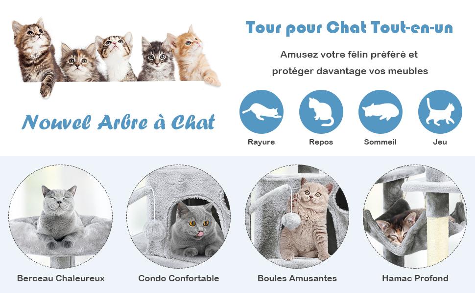 aire-dactivites-pour-chats