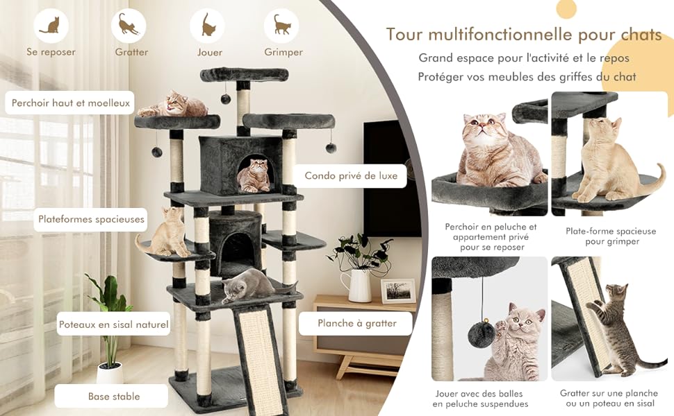 aire-de-jeu-pour-chats