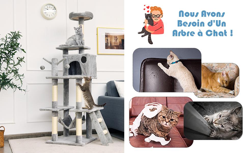 aire-de-jeux-pour-chats