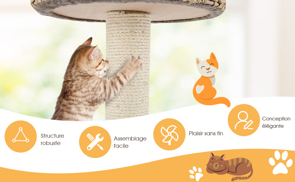 katten boom