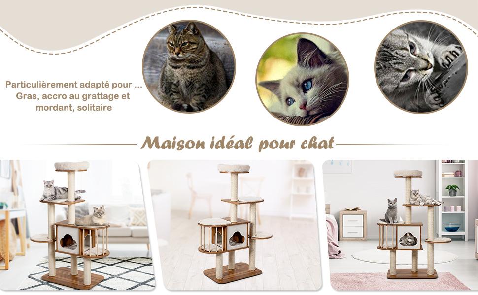 kattenboom met meerdere niveaus