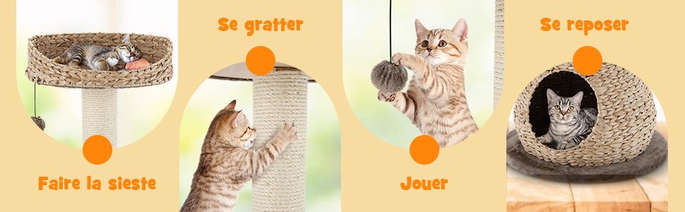 kattenboom-met-baars