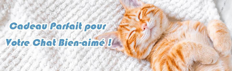 arbre-a-chat-pour-interieur
