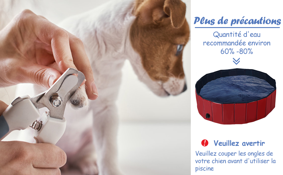 baignoire-pliable-pour-chiens