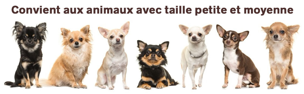 barriere-de-securite-en-bois