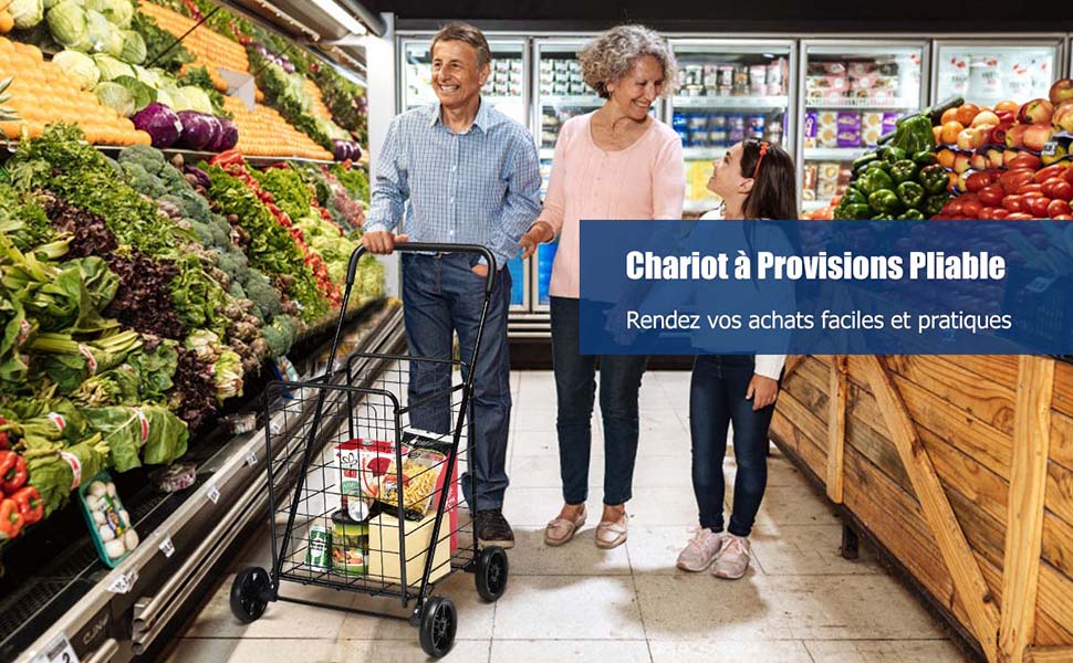 chariot-de-courses