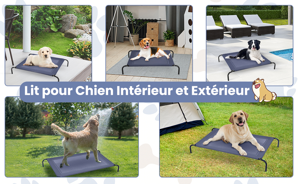 lit-sureleve-pour-chien