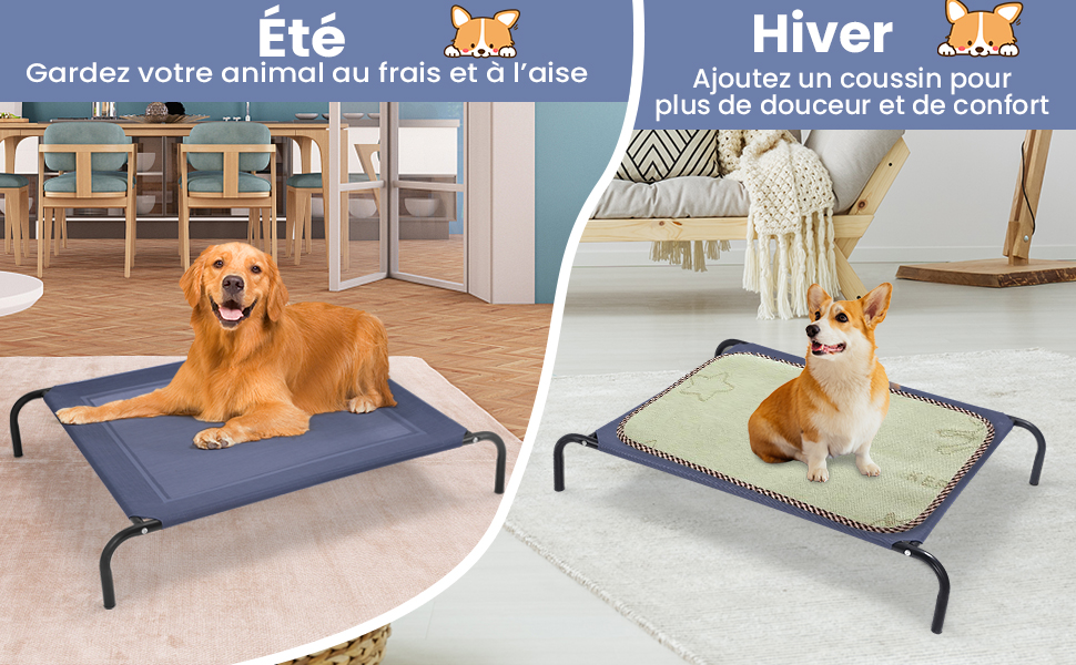 lits-de-chien
