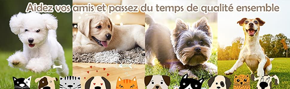 marches-en-plastique-pour-animaux