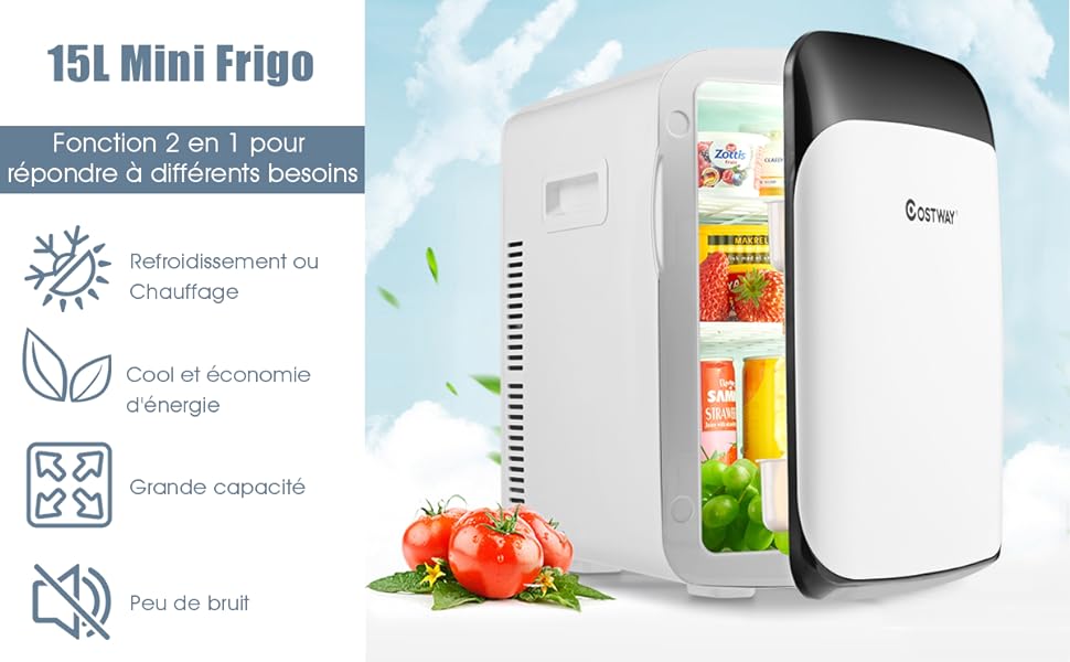 Mini Réfrigérateur 15L 2 en 1 Mini Frigo Portable Fonction de