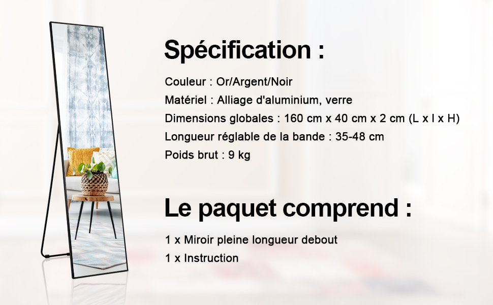 miroir-pour-vestiaire-chambre-salon