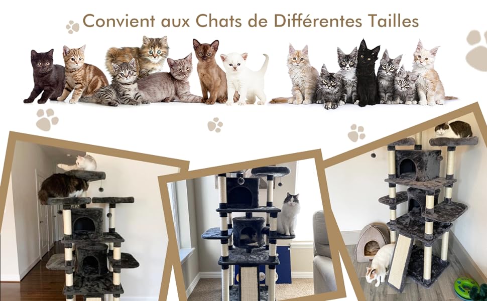 niche-d_interieur-pour-chats