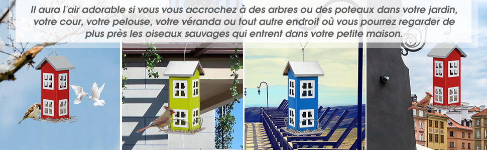 nourriture-pour-oiseaux-sauvages