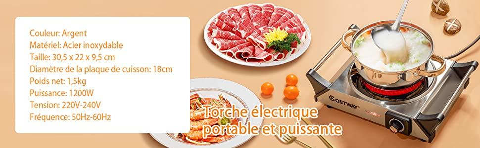 elektrische plaat