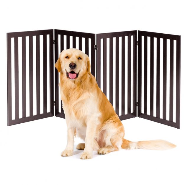 Meilleure barrière pour chien