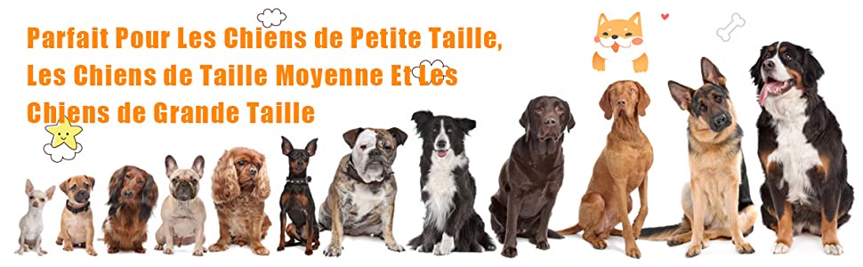 honden-toegang-oprit