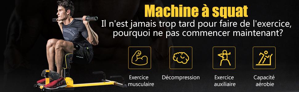  Machine de Gymnastique de Seance 8 en 1 en Métal pour Abdominaux et Jambes 11 Reglages de Hauteur Capacite de Support 120KG