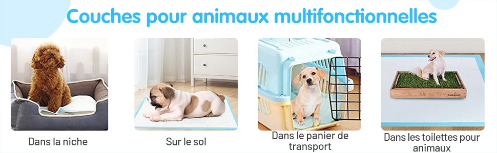 tapis-a-urine