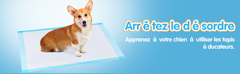 tapis-absorbeurd-urine-a-5-couches