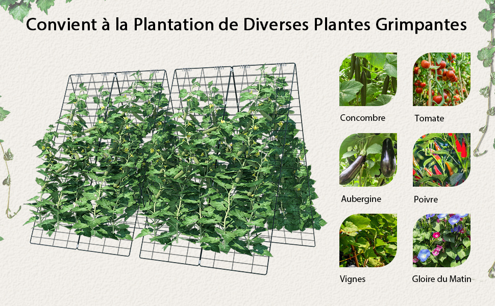 tuteur-de-concombre-en-A